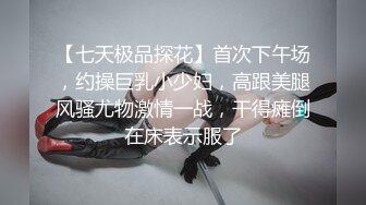 女仆娃娃 厅主人的话的人偶