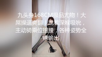 女仆装，经典不容错过