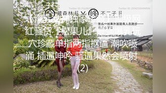 【新速片遞】  商场女厕一路跟踪小手电偷窥极品御姐的肥美的鲍鱼