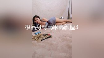 极品身材高跟高颜值3