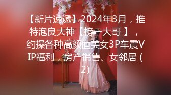 玩老婆的BB2