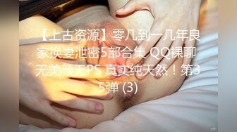 [高清無碼中文] HEYZO-1048好色極品美人OL波多野結衣