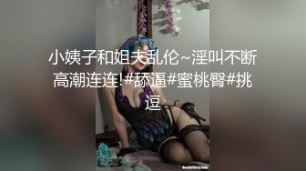 网红豆芽姐姐与粉丝车震