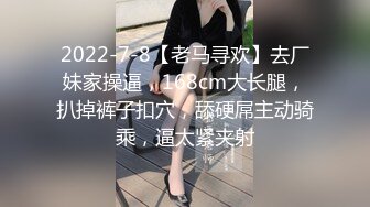 美腿娇妻4