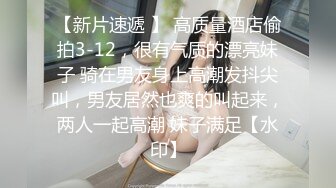 操骚得很强的小母狗