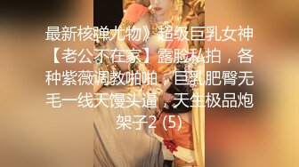 【完美女神??唯美私拍】推特新晋摄影师『Flipped』与合作网红模特『啾咪学姐』最新唯美私拍 丰臀美乳 高清720P版