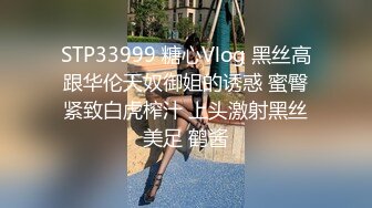 东京美臀美胸的小母狗2