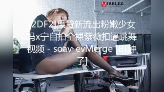 MD-0336爆乳候选人政见发表会