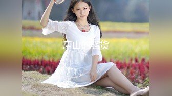 [2DF2] 【小陈头星选】约了个高颜值甜美格子裙花臂纹身妹，舌吻摸逼上位骑乘近距离摸逼猛操[BT种子]