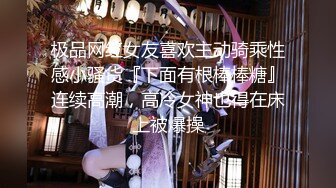 高清无水印珍藏版 高铁女神乘务员和靓丽的女乘客 (1)