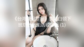 起点传媒 XSJ-005《奇淫三国》黄精之乱-金宝娜