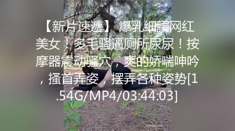 雲盤高質露臉泄密！長發氣質小姐姐【李X恩】露臉性愛自拍被花臂前男友報復流出