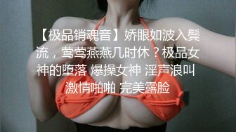 美乳少妇激情后入