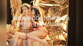 麻豆传媒 ODE-008艳遇出轨骚气甜心【MP4/202MB】