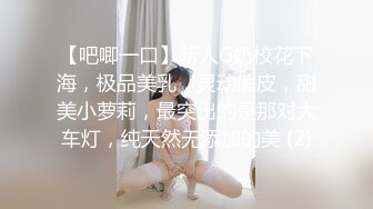 极上挑逗的小恶魔妹妹-趁姐姐睡着露出内裤诱惑姐夫中出