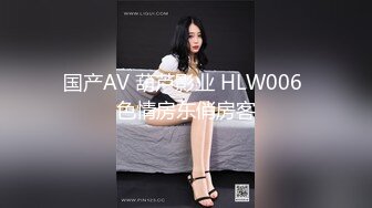 国产AV 葫芦影业 HLW006 色情房东俏房客