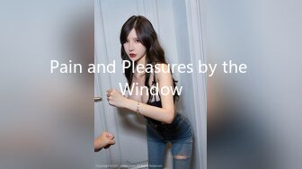 Pain and Pleasures by the Window