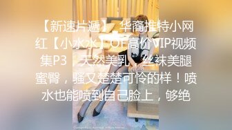 91新人EboArt盛世美胸系列-麻辣大胸喵之极品爆乳蜜儿 蕾丝吊带 摇乳挑逗 AV式口活 侧45度角拍 高清1080P版