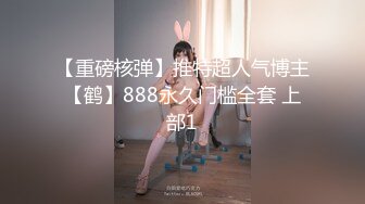 【重磅核弹】推特超人气博主【鹤】888永久门槛全套 上部1