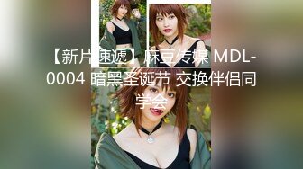 【新片速遞】麻豆传媒 MDL-0004 暗黑圣诞节 交换伴侣同学会