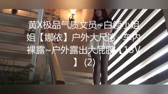 黄X极品气质文员~白领小姐姐【娜依】户外大尺度~车内裸露~户外露出大屁股【13V】 (2)