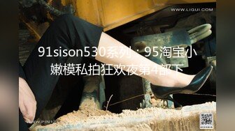 91sison530系列：95淘宝小嫩模私拍狂欢夜第4部下