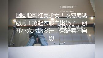 紫衣原创12验证写字对白