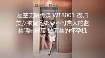 星空无限传媒 WTB001 夜归美女被尾随绑架不可告人的监禁强制妊辰 被囚禁的怀孕机器