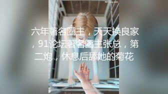 多位摄影大师御用顶级模特，毫无瑕疵，九头身极品女模【三清叶子】推特福利，露脸露点户外各种唯美诱人展示