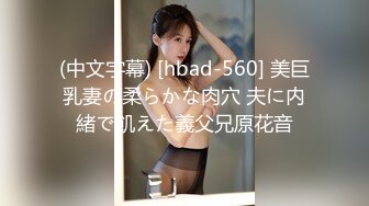 (中文字幕) [hbad-560] 美巨乳妻の柔らかな肉穴 夫に内緒で飢えた義父兄原花音