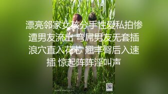 《高质厕拍精品泄密》颜值漂亮小姐姐较多的餐厅女厕完美视角偸拍超多靓妹方便 逼脸同框尽情欣赏女性各式各样的私处 (1)