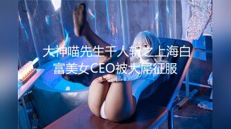  大神喵先生千人斩之上海白富美女CEO被大屌征服