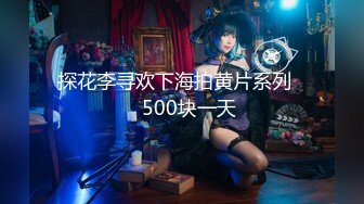 探花李寻欢下海拍黄片系列❤️500块一天